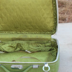Green Interior Lining